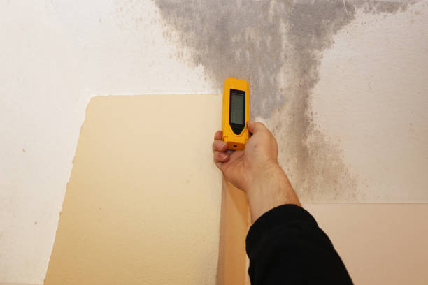 Best Air Quality Testing for Mold Spores  in New Braunfels, TX