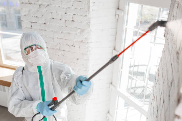 Best Forensic Mold Investigation  in New Braunfels, TX
