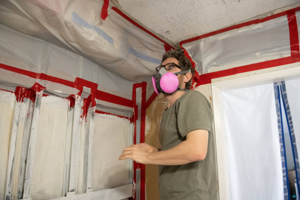 Best Black Mold Removal  in New Braunfels, TX