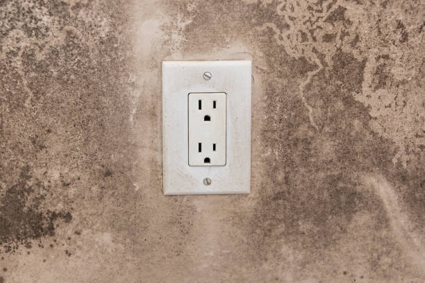 Best Mold Remediation for Healthcare Facilities  in New Braunfels, TX